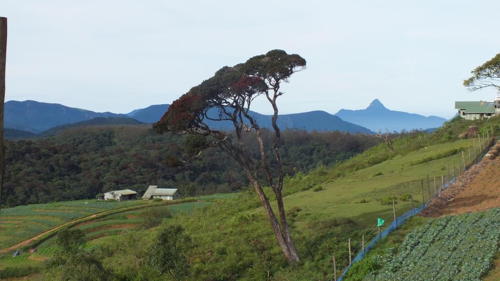 Lake View Holiday Resort Nuwara Eliya Buitenkant foto